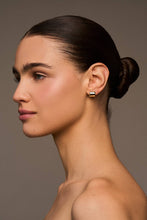 Load image into Gallery viewer, Harper Wide Hoops