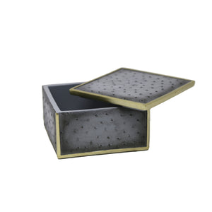 Ostrich Box